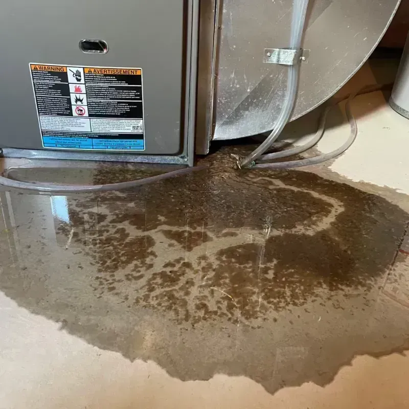 Appliance Leak Cleanup in Greenville, IL